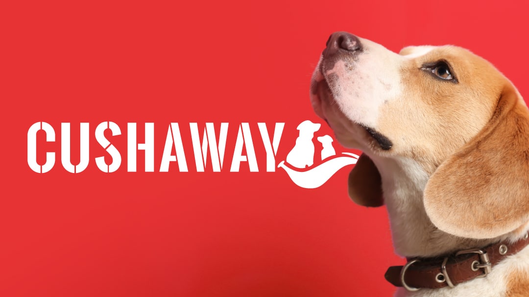 customer-dog-photo1: Customer testimonial happy dog using CushAway supplement